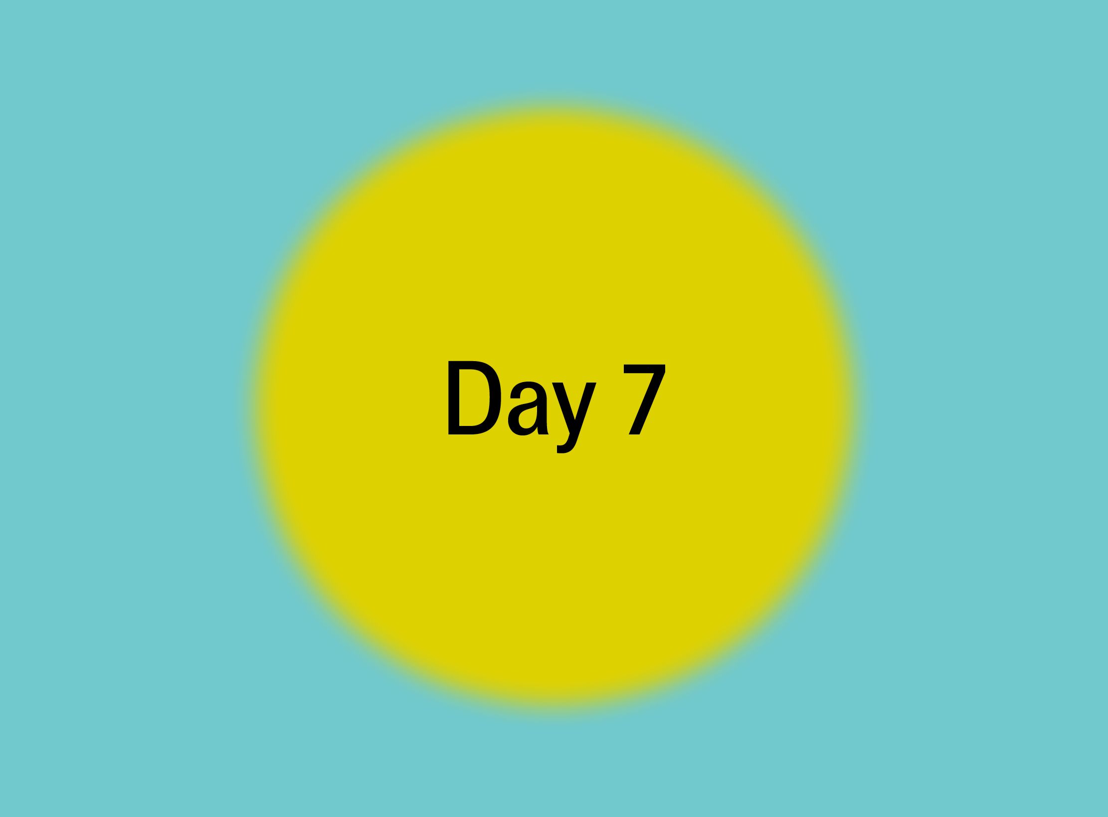 What's On | Day 7